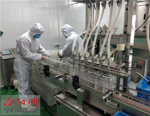 洛陽生物技術(shù)企業(yè)晝夜奮戰(zhàn)擴(kuò)產(chǎn)能 全力保障防疫物資供應(yīng)